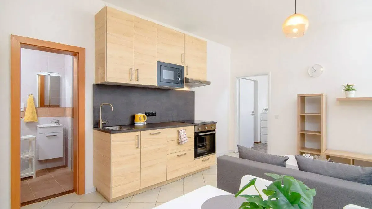 Pronájem bytu 2+kk 50m² Praha - Karlín