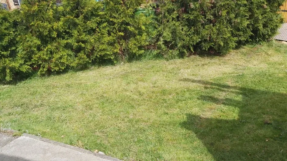 Pronájem části zahrady 180 m² a stavby Rokycany 15 m²